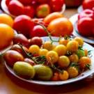 В житомирском ботсаду выращивают 20 сортов винограда и 40 сортов помидоров. ФОТО