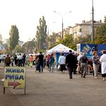 На выходных в центре Житомира развернется продуктовая ярмарка