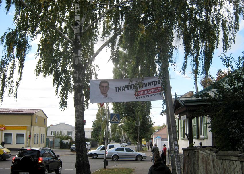 Город: Кандидат от БПП развесил свои рекламные растяжки на берёзах. ФОТО