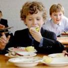 ​Детей участников АТО в детсадах и школах Житомира будут кормить бесплатно