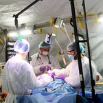 ​Американский мобильный госпиталь испытывают на полигоне под Житомиром. ФОТО