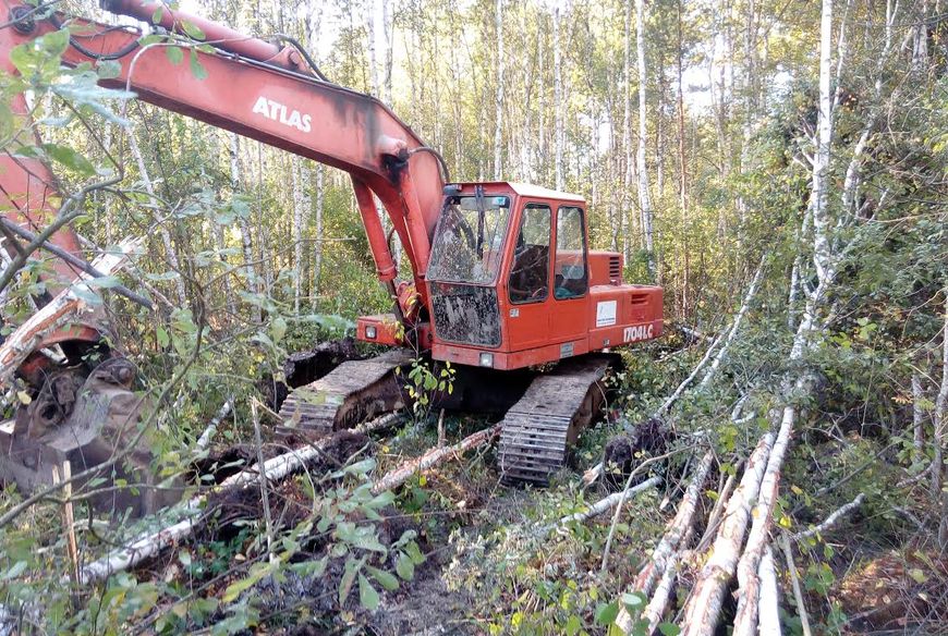 Криминал: Житель Ровенщины с помощью экскаватора искал янтарь в лесах Житомирской области