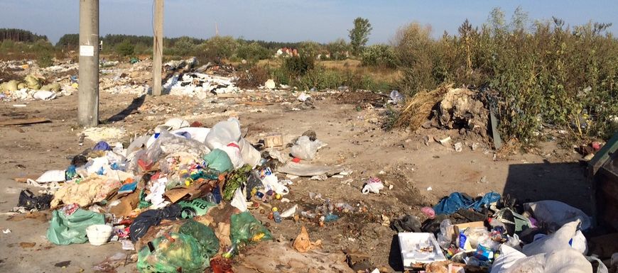 Житомирян приглашают на уборку стихийной свалки на окраине города
