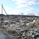 Житомирян приглашают на уборку стихийной свалки на окраине города