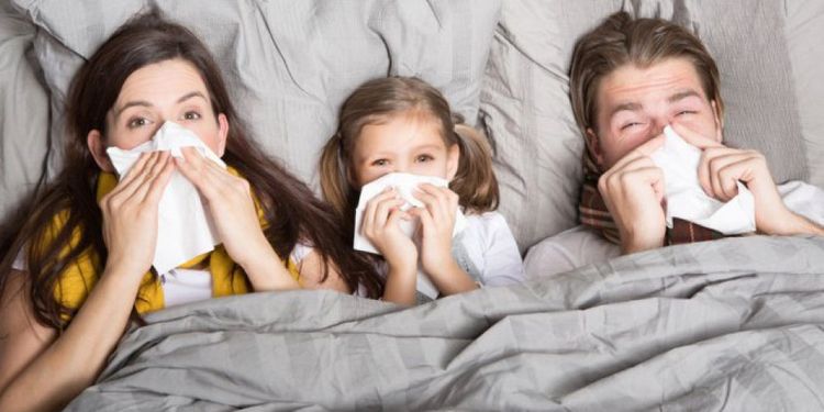 Общество: В Житомирской области наблюдается сезонный рост заболеваемости ОРВИ и гриппом