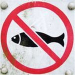 С 5 ноября рыбачить на зимовальных ямах в Житомирской области запрещено