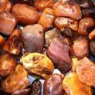 За 2 недели на территории Житомирской области изъяли 6 кг янтаря