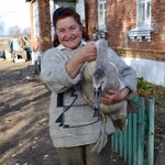 Жительница села на Житомирщине спасла замерзающих в пруду лебедей. ФОТО
