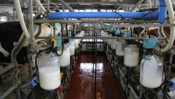 Экономика: Житомирская область занимает четвертое место по объемам производства молока