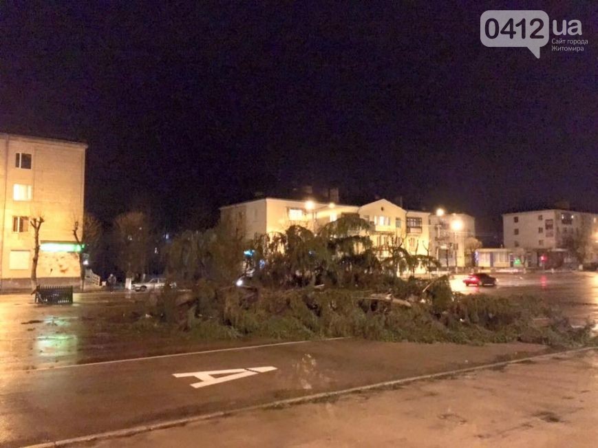 Происшествия: В центре Коростеня упала новогодняя ёлка. ФОТО