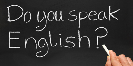 Родной край: Do you speak English?: в Житомирской области стартует год английского языка