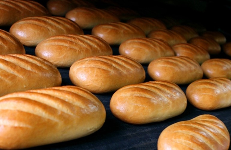 В Житомирской области открыли хлебопекарню, работающую на альтернативном топливе