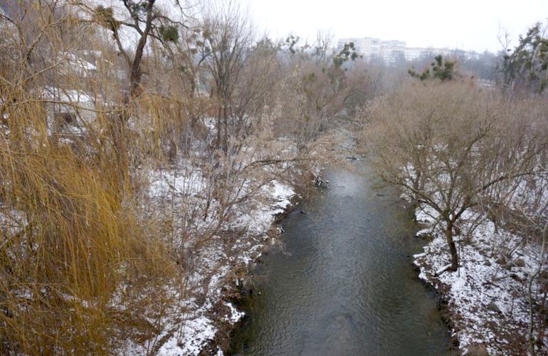 Житомирянин призывает городские власти спасти от экологического бедствия реку Каменка