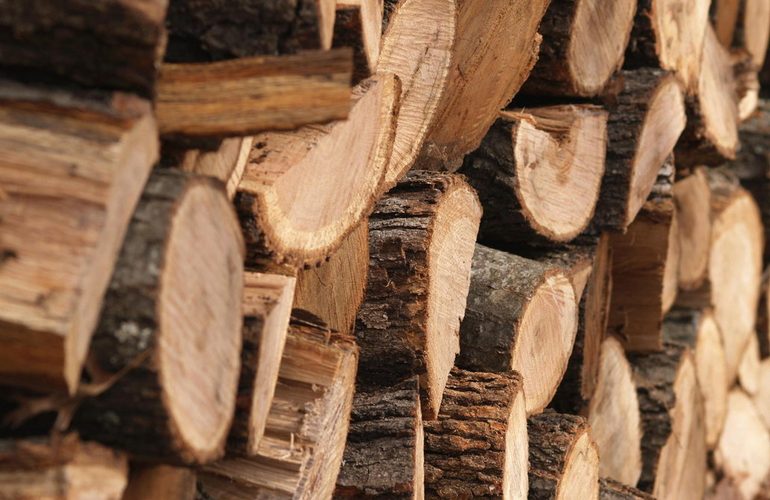 СБУ перекрыла канал незаконного экспорта древесины из Житомирской области в страны Азии
