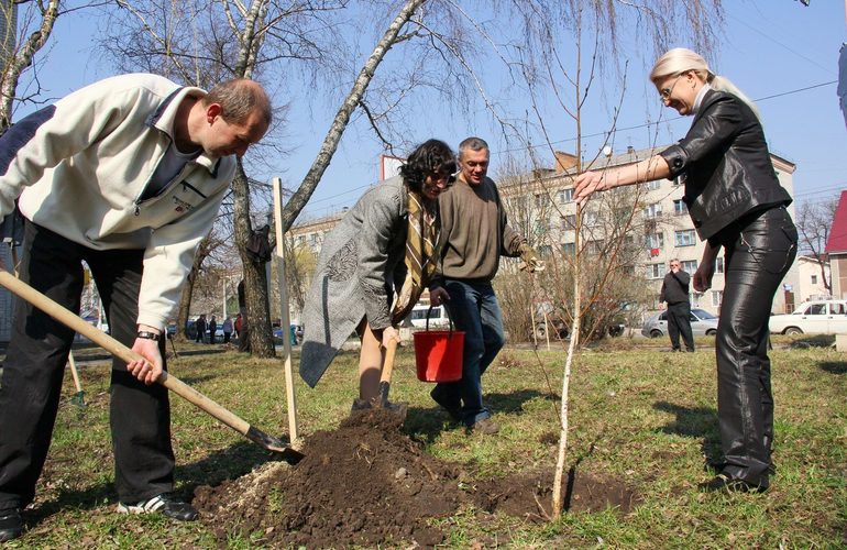 В конце марта в Житомире стартует месячник по благоустройству и озеленению