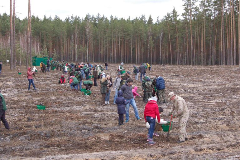 ​Более 100 человек приняли участие в посадке леса на Житомирщине. ФОТО