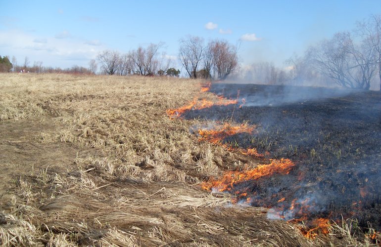 В Житомирской области участились возгорания сухой травы
