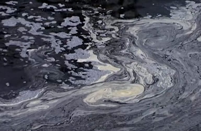 Экологическая катастрофа на Житомирщине: реку Хомора загрязнили неизвестным веществом. ВИДЕО