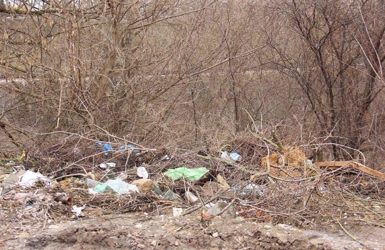 16 апреля житомиряне выйдут на акцию по уборке мусора в яру на Маликова