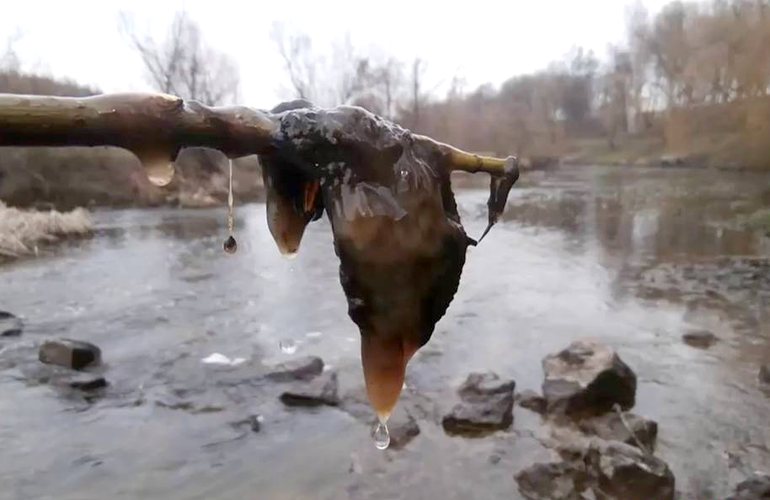 Прокуратура и полиция расследуют факт загрязнения реки Хомора в Житомирской области