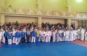 Более 200 бойцов приняли участие в кубке Житомира по каратэ