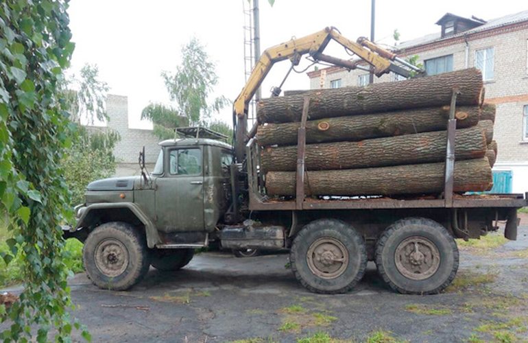 Дерзкие лесорубы крадут лес в районах Житомирской области