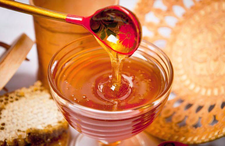 Житомирская область производит больше всего мёда в Украине
