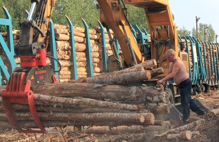 Разоблачена афера с экспортом леса: вместо Панамы Житомирские лесхозы отправляли продукцию в Германию