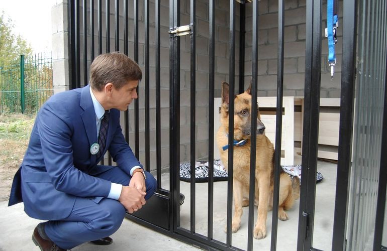 Градоначальник Житомира будет ухаживать за бездомной собакой из Центра защиты животных. ФОТО