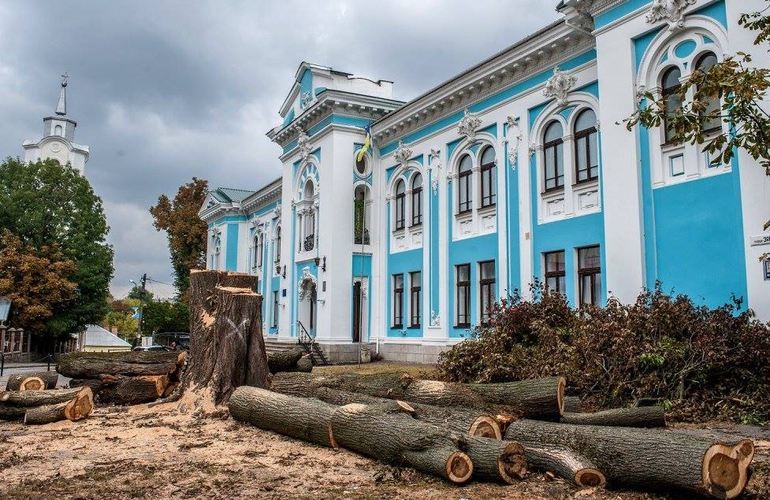 В историческом центре Житомира срезали огромное аварийное дерево. ФОТО