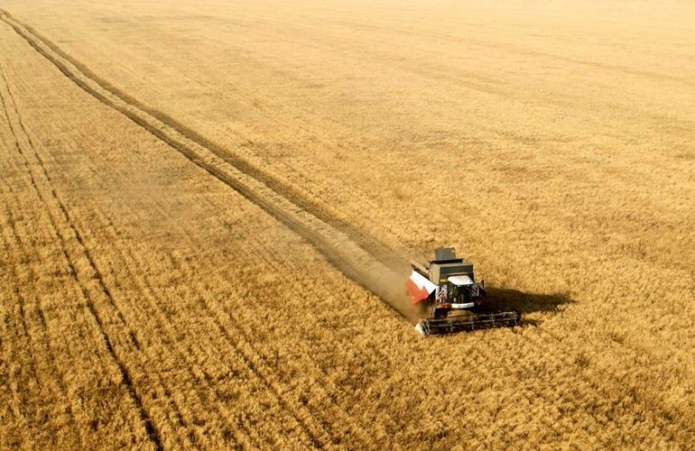 Житомирские аграрии уже собрали зерна на 26% больше, чем в прошлом году