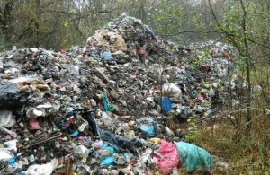  Экологический <b>терроризм</b>: львовский мусор сбрасывают посреди заповедника на Житомирщине. ФОТО 