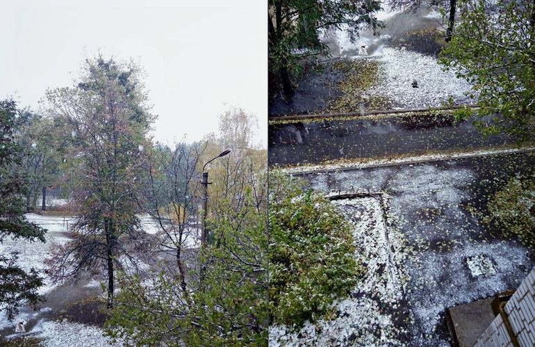 В Житомире выпал первый снег. Горожане делятся фотографиями в соцсетях
