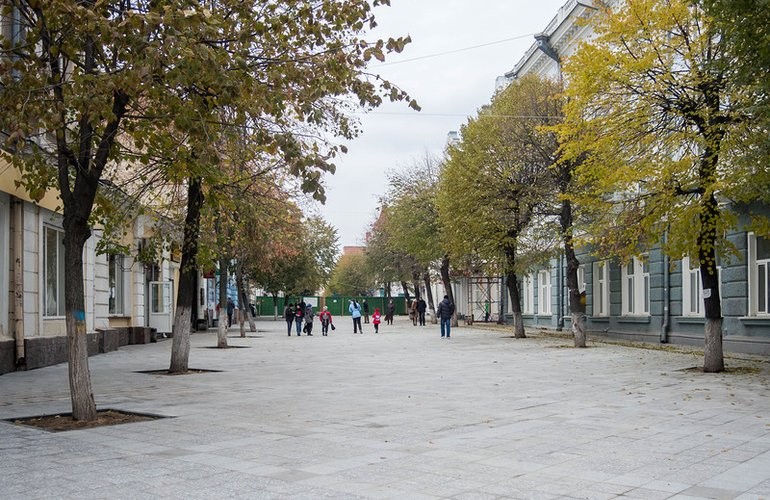 К Новому году улицу Михайловскую в Житомире украсят новой праздничной иллюминацией