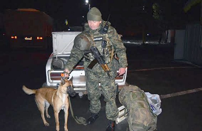 Житомирский служебный пёс Индия помог обнаружить в зоне АТО взрывчатку