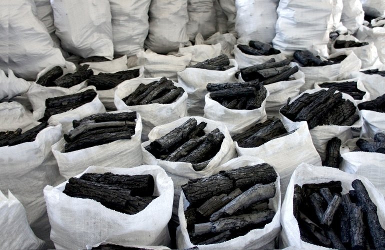 Производство древесного угля в Житомире: Минобороны не имеет отношения к незаконной деятельности