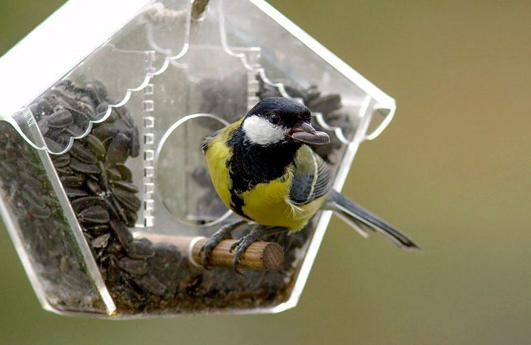 Кормушки для птиц своими руками из подручных материалов (32 фото)