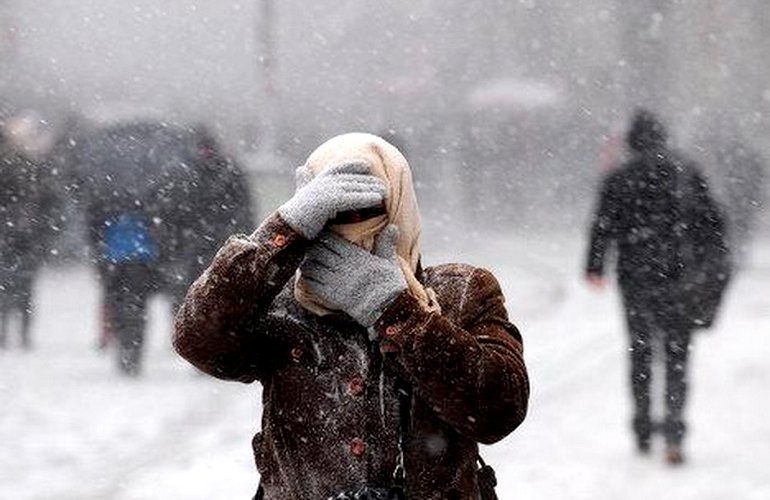Гундич: Житомирская область на 100% готова к сильным снегопадам