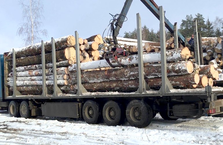 Из госпредприятия на Житомирщине пытались незаконно вывезти древесины на 100 тысяч гривен