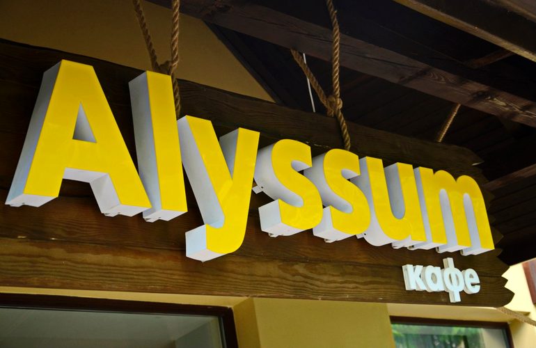 Mister.Am представляет кафе «Alyssum»: вкусные блюда и сверхбыстрая доставка