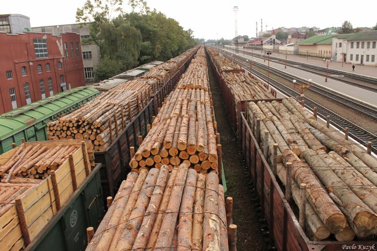Відмінити мораторій на експорт деревини – вбити українську деревообробну галузь