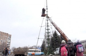  В Житомире на площади Королёва устанавливают главную городскую елку. ФОТО 