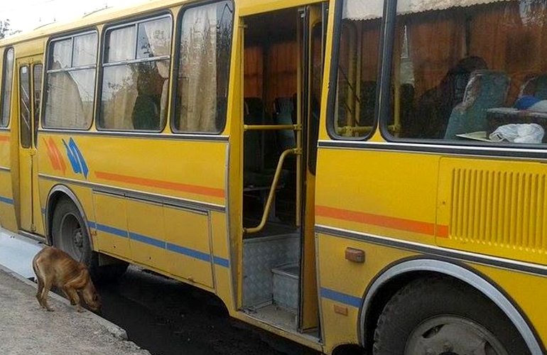Трагедия в пригороде Житомира: из автобуса на ходу выпал мужчина и разбился