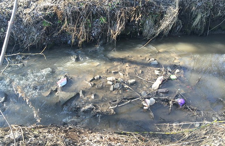 Реку Путятинка в Житомире загадили фекальными стоками и строительным мусором