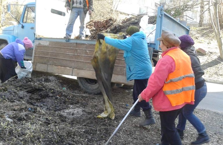 Коммунальщики продолжают убирать Житомир после зимы