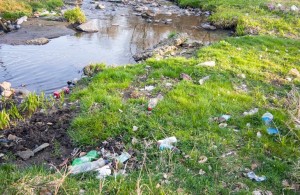 Крик о помощи: житомирян призывают выйти на уборку мусора возле реки Каменка