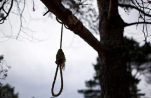  Трагедия на Житомирщине: 15-летний школьник <b>повесился</b> на дереве 