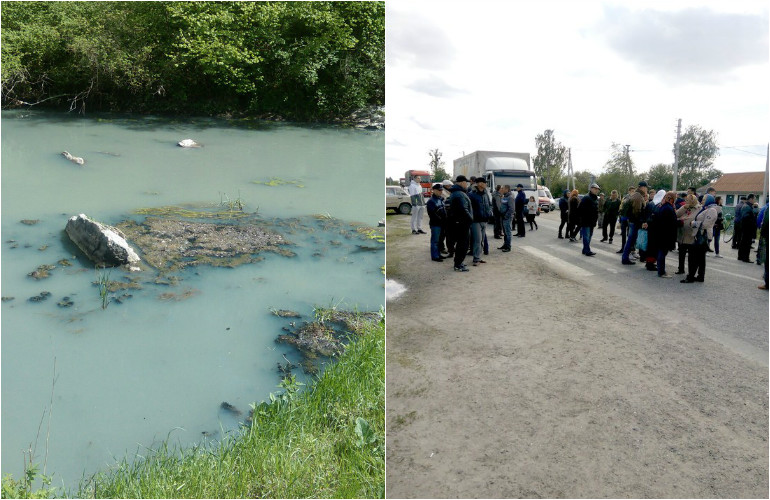 На Житомирщине снова отравили реку. Местные жители перекрыли трассу и требуют принять меры