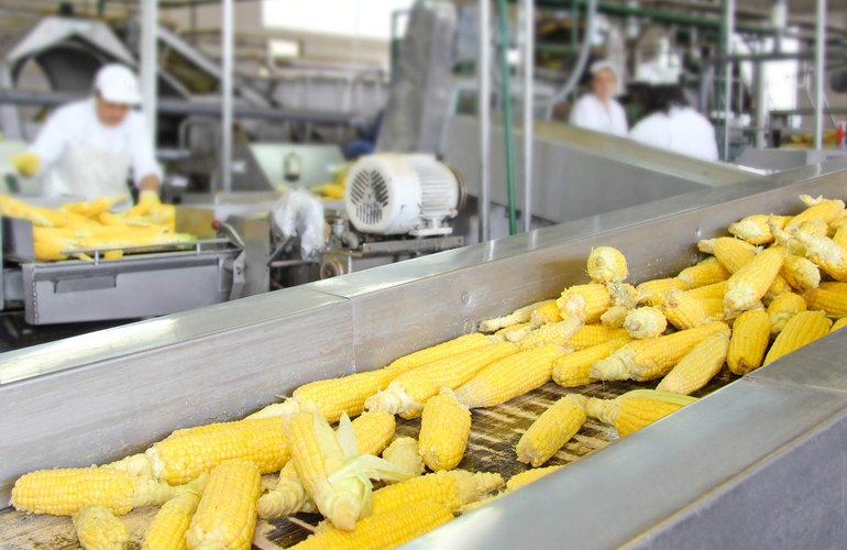Компания «Монсанто» в 2018 году планирует открыть в Житомирской области новый семенной завод
