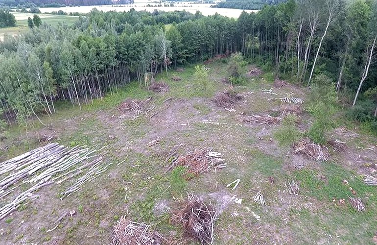 На защите своего леса: селяне бунтуют против тотальных вырубок на Житомирщине. ФОТО